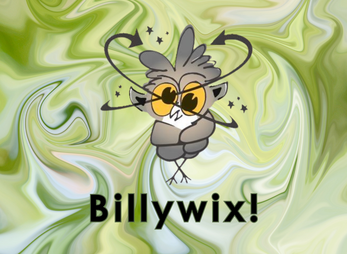 Billywix! is an educational card game to help build recognition of predictable phonics patterns and syllable types