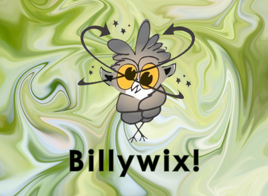 Billywix! is an educational card game to help build recognition of predictable phonics patterns and syllable types